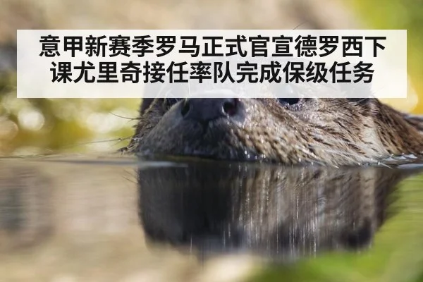 意甲新赛季罗马正式官宣德罗西下课尤里奇接任率队完成保级任务