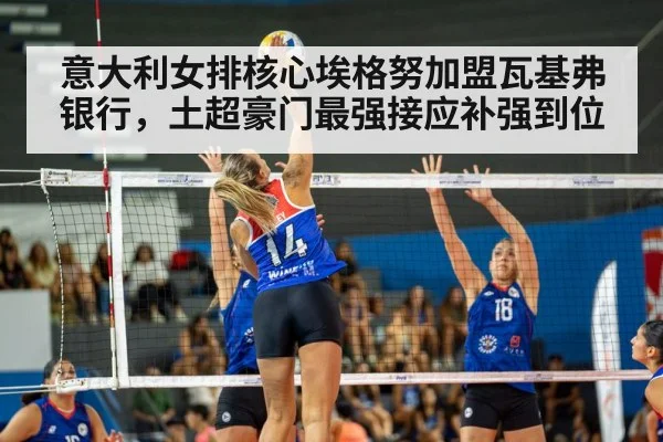意大利女排核心埃格努加盟瓦基弗银行，土超豪门最强接应补强到位