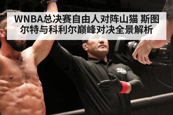 WNBA总决赛自由人对阵山猫 斯图尔特与科利尔巅峰对决全景解析
